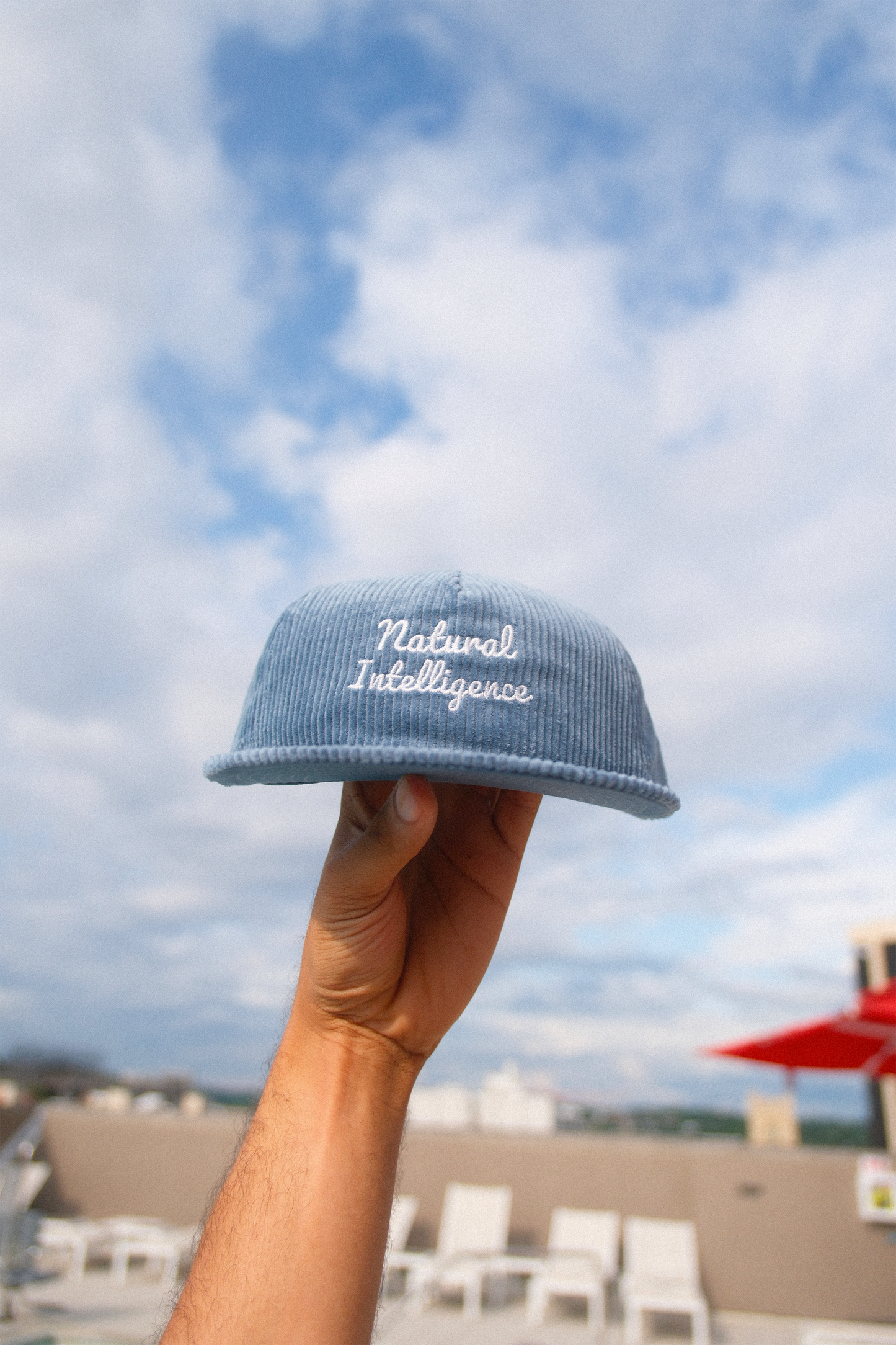 Natural Intelligence Corduroy Cap