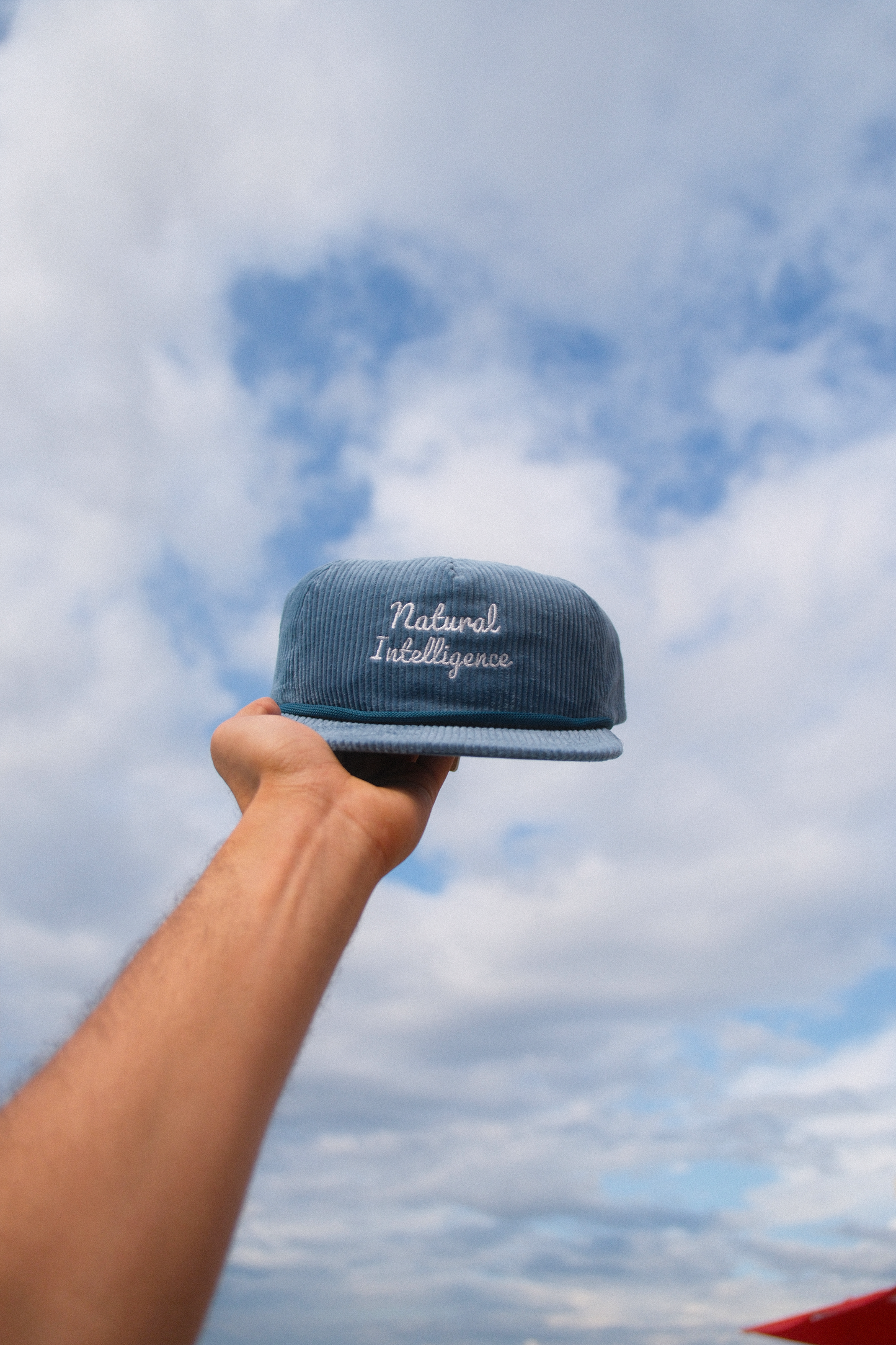 Natural Intelligence Corduroy Cap